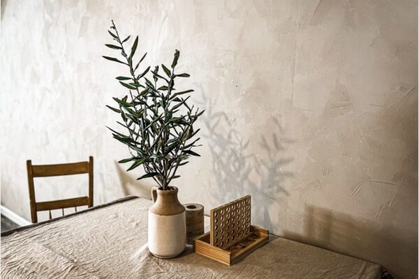 hemp plastering company near me